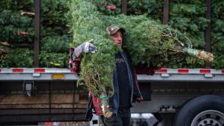 Workers unload a truck with 1,400 Christmas trees at North Pole Xmas Trees in Nashua, New Hampshire on November 17, 2022. (Credit: JOSEPH PREZIOSO/AFP (Getty Images))