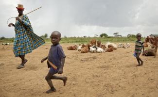 In this photo taken Wednesday, Oct. 18, 2017, a Karamojong man and children keep watch over their cattle as they rest after grazing in the semi-arid savannah region of Karamoja, in northeastern Uganda. Photo: Adelle Kalakouti, AP
