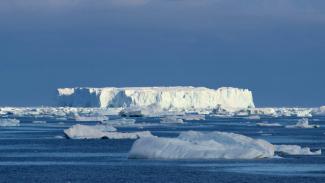 Sea ice in Crystal Sound, Antarctica. (Credit: TAPIA VIA AP)