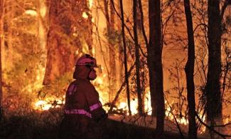  A fire rages in Western Australia's south-west in 2015. Photograph: AAP