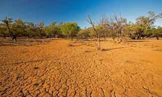 Severe droughts can occur in Australia, Indonesia and parts of southern Asia during an El Niño pattern. (Credit: Outback Australia/Alamy)