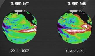 A comparison of sea surface temperatures in the equatorial Pacific in 1997 (a strong El Nino year) and 2015. Image: World Meteorological Organization