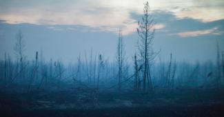 Charred trees near Fort McMurray, in Alberta, Canada. Climate change is a prime suspect in a rise of wildfires in the boreal forest. Photo: Ian Willms, The New York Times