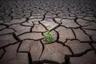 FILE - A plant is photographed on a cracked earth after the water level has dropped in the Sau reservoir, about 100 km (62 miles) north of Barcelona, Spain, on April 18, 2023. Drought-stricken Spain says last month was the hottest and driest April since records began in 1961.