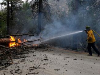 Firefighter Ryan Sundberg puts out a burning tree which fell across Salmon Creek Road outside of Okanogan County, as wildfires continue to burn throughout Washington, in Omak, Wash., on Aug. 21, 2015. (Photo: Genna Martin, AP)