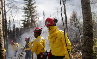 Firefighters work to uproot a tree as they mop-up hot spots in an area close to Anzac, outside of Fort McMurray, Alberta on June 2, 2016. In early July, the fire was finally declared "under control." Photo: Cole Burston, AFP/Getty Images