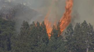Soberanes Fire burning near Big Sur in Monterey County. Photo: CBS