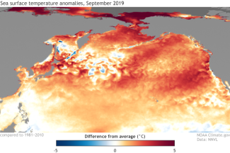 Sea surface temperature anomalies during September 2019. Climate.gov image based on NOAA NNVL and NCEI.  