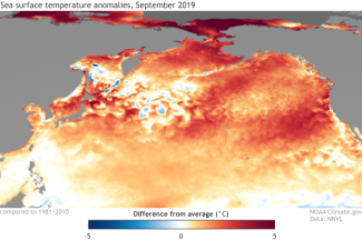 Sea surface temperature anomalies during September 2019. Climate.gov image based on NOAA NNVL and NCEI.