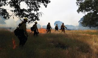 A prescribed burn at California’s Bouverie Preserve last spring cleared tall grasses and downed limbs from around the giant old oak trees. Photo: Justin Sullivan, Getty Images