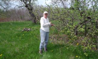 Betsy Garrold lives on 50 acres in Waldo County, Maine, where the Lyme incidence rate is three times the state average. Her 100-year-old apple orchard is what she calls “a stomping ground for blacklegged ticks.” Photo: Kristen Lombardi, Center for Public Integrity