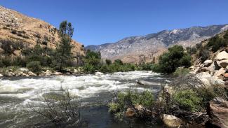 The Kern River's water is 10-times stronger than it was a year ago, after near-record snowmelt from California's wet winter flows down from Mount Whitney in the Sierra Nevada. Photo: Nathan Rott, NPR