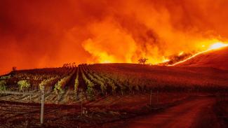 Flames approach rolling hills of grapevines during the Kincade fire near Geyserville, California, on Thursday, October 24, 2019. Credit: Josh Edelson/AFP via Getty Images