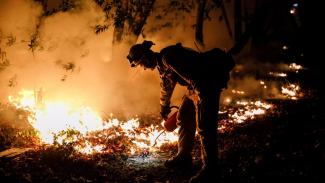 Brandon Tolp, a San Bernardino-based firefighter, performs a firing operation to prevent the flames from crossing Highway 29 on Oct. 12. Photo: Marcus Yam / Los Angeles Times