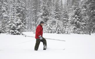 Frank Gehrke of the California Department of Water Resources surveys the snowpack at Phillips Station near Echo Summit, Calif. Photo: Rich Pedroncelli / Associated Press