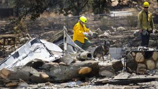 Investigators and a cadaver dog from Santa Clarita search through the rubble of a burned home in the Squirrel Mountain Valley. Photo: Gina Ferazzi / Los Angeles Times