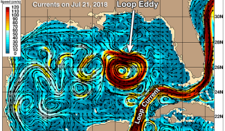 Ocean currents in the Gulf of Mexico as depicted by the U.S. Navy HYCOM model on July 21, 2018. Credit: US Navy