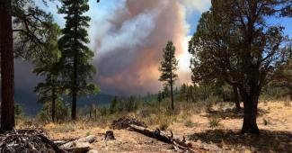 This April 29 photo, provided by the Arizona Department of Forestry and Fire Management, shows a wildfire burning in north-central Arizona. Photo: AP