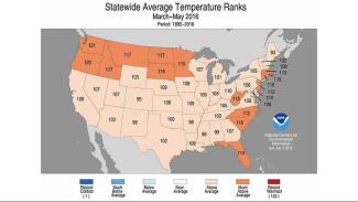Spring 2016 temperature rankings. Image: NCEI