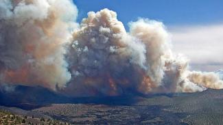 Credit: In this photo provided by the Coconino National Forest, the Tunnel Fire burns near Flagstaff, Ariz., April 19, 2022.