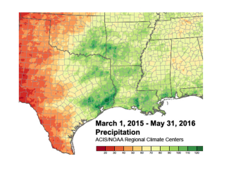 Accumulated precipitation from March 1, 2015 through May 31, 2016 in the south-central U.S. The darker green contours highlight areas that have picked up at least 100 inches of precipitation during that time.  Image: ACIS/ NOAA Regional Climate Centers