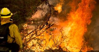 A firefighter battles a wildfire near Morgan Hill, Calif., on Wednesday, Sept. 28, 2016. Photo: Noah Berger